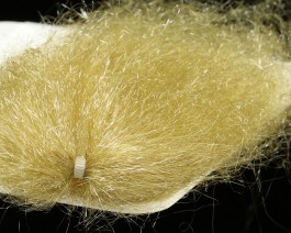 Ghost Hair, Golden Olive